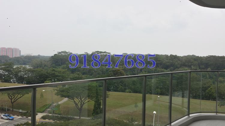 Riversound Residence (D19), Condominium #90581212